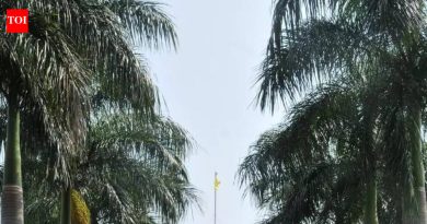 3 वर्षानंतर, 70 हून अधिक M.Ed विद्यार्थी पदवी प्रमाणपत्रांच्या प्रतीक्षेत आहेत