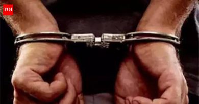 देशी बनावटीच्या पिस्तुलांसह तिघांना अटक