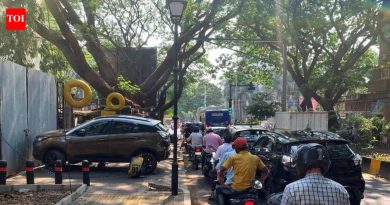 हरित सेतू वाहनचालक आणि पादचारी दोघांनाही अपयशी ठरतो, असे निगडीतील रहिवाशांचे म्हणणे आहे