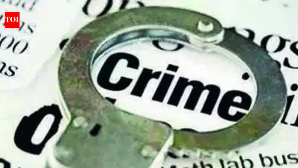 पुण्यात पाळीव मांजराच्या वादातून वृद्ध महिलेला शेजाऱ्यांनी मारहाण केली
