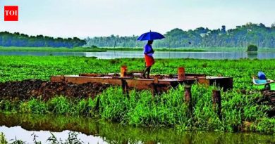 मान्सूनने महाराष्ट्राचे दार ठोठावले आहे, परंतु कोरड्या हवेच्या ड्रॅगने देशांतर्गत कूच करण्याचा धोका आहे