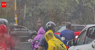 या मान्सूनच्या सर्वाधिक २४ तासांच्या पावसाने पुणे भिजले; पुढील २४ तासांत आणखी पावसाची शक्यता | पुणे बातम्या