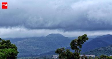या आठवड्यात पुणे, महाराष्ट्राच्या काही भागात पावसाचा जोर वाढेल: IMD