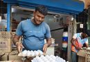 पुरवठा कमी झाल्याने अंड्याच्या किमतीत वाढ होते, पोल्ट्री फीडची किंमत वाढते