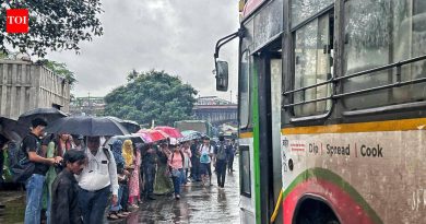 PMPML 685 बस निवारे विकसित करणार; युटिलिटीने २४ भूखंड मिळविण्यासाठी पीएमसीशी संपर्क साधला | पुणे बातम्या