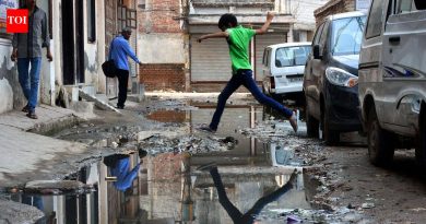 भारतीय शास्त्रज्ञांना मलेरिया थांबवण्याचा मार्ग सापडला असेल